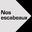 échelle télescopique 2 mètres
